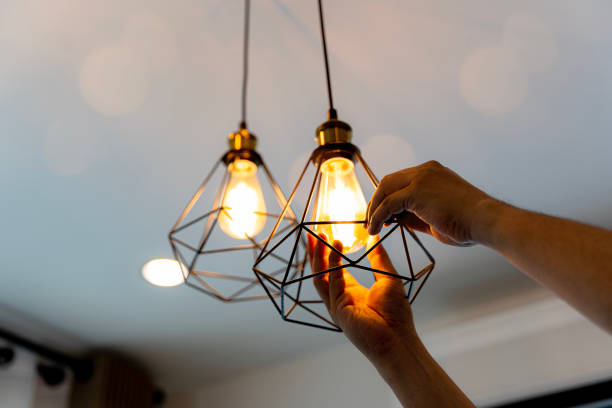 Best Electrician for Home Renovation  in Minden, NV