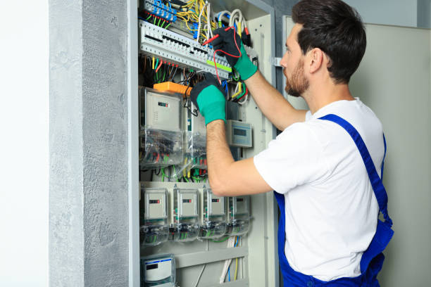 Best Electrical Repair Services  in Minden, NV